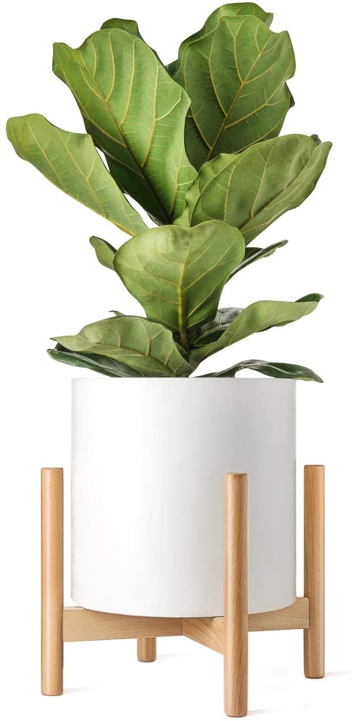 Plant Stand Mid Century Wood Flower Pot Holder (plant Pot Not Included)  Modern Potted Stand Indoor Display Rack Rustic Decor, Up To 14 Inch Planter,  Natural – Walmart Within 14 Inch Plant Stands (View 9 of 15)