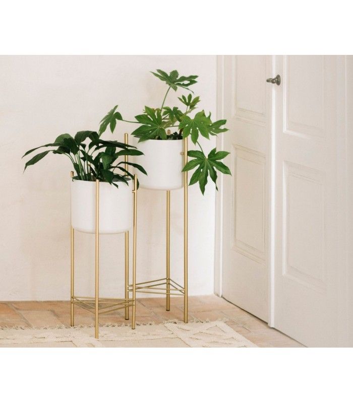 Plant Stand White And Gold Metal – Height 66cm For White Plant Stands (Photo 10 of 15)