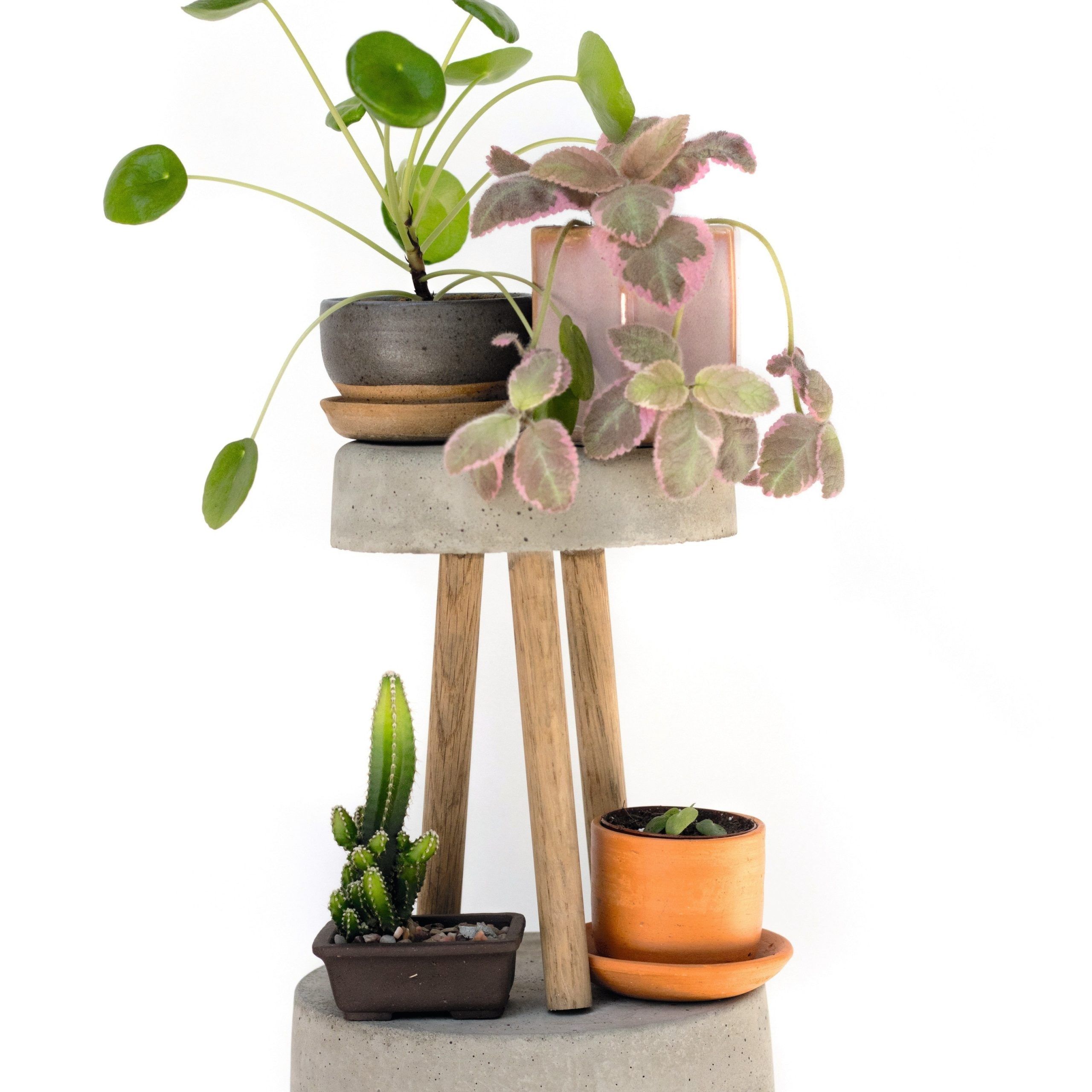 Plant Stands · Extract From How To Raise A Plantmorgan Doane · How To  Make A Concrete Planter In Cement Plant Stands (View 10 of 15)