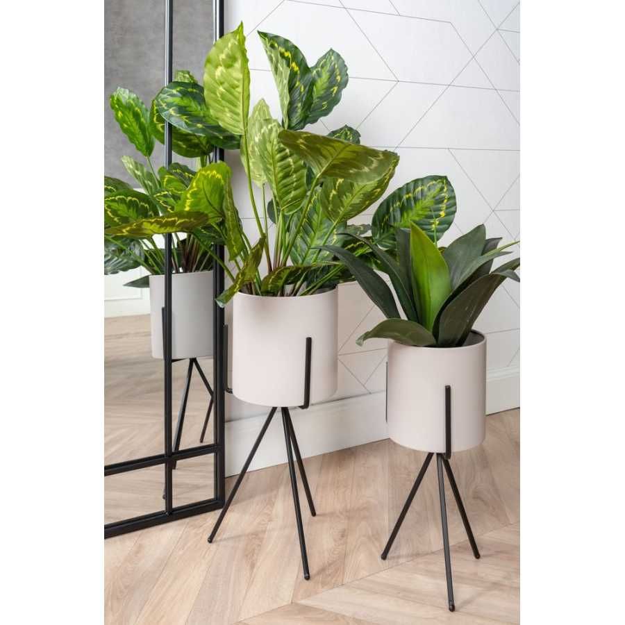 Present Time Pedestal Plant Stands – Set Of 2 – Warm Grey With Regard To Set Of 3 Plant Stands (View 15 of 15)