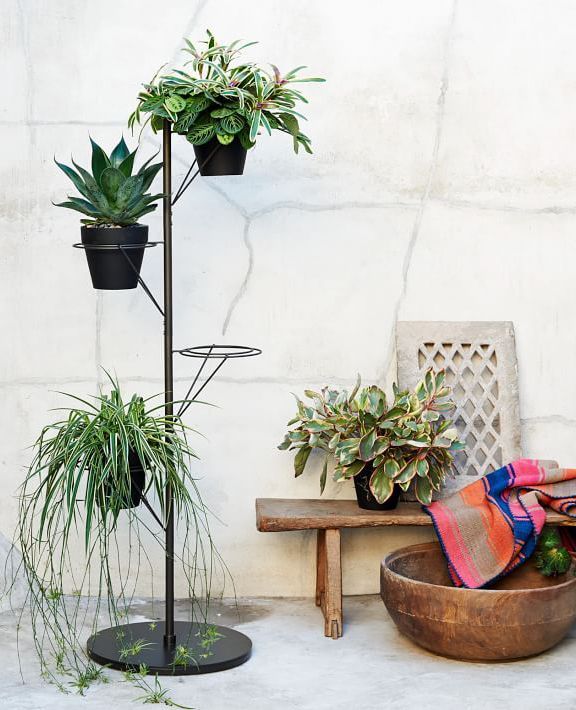 Prism Plant Stand | Plant Stand Indoor, Diy Plant Stand, Plant Stand Throughout Prism Plant Stands (Photo 3 of 15)