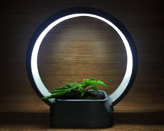 Ring Light Stand Indoor Plant Stand 3d Printed Ring Desk – Etsy Canada In Ring Plant Stands (Photo 7 of 15)