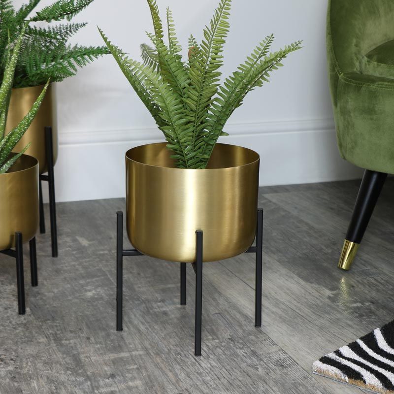 Round Gold Plant Stand – Medium In Gold Plant Stands (Photo 2 of 15)