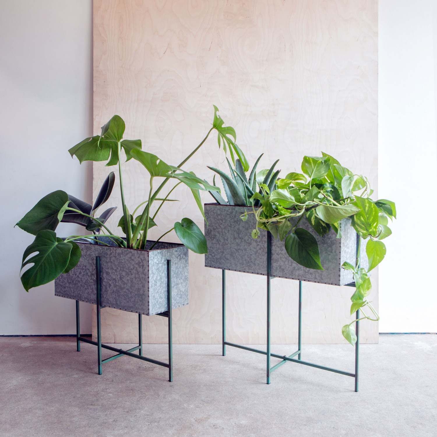 Set Of Two Rectangular Zinc Plant Stands | Graham & Green For Rectangular Plant Stands (Photo 1 of 15)