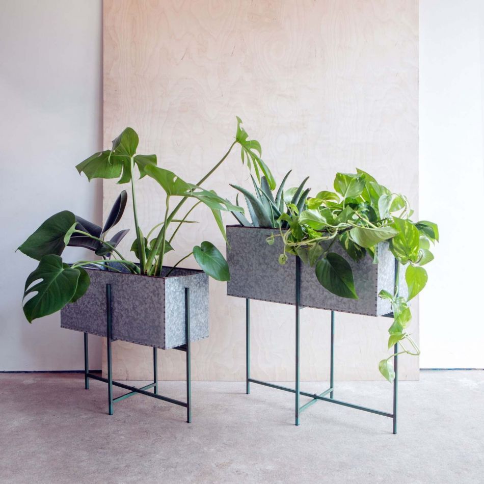 Set Of Two Rectangular Zinc Plant Stands | Graham & Green Within Green Plant Stands (Photo 7 of 15)