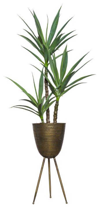 Skinny Yucca X 3 In Bronze Plant Stand – Lux Art Silks With Bronze Plant Stands (Photo 10 of 15)