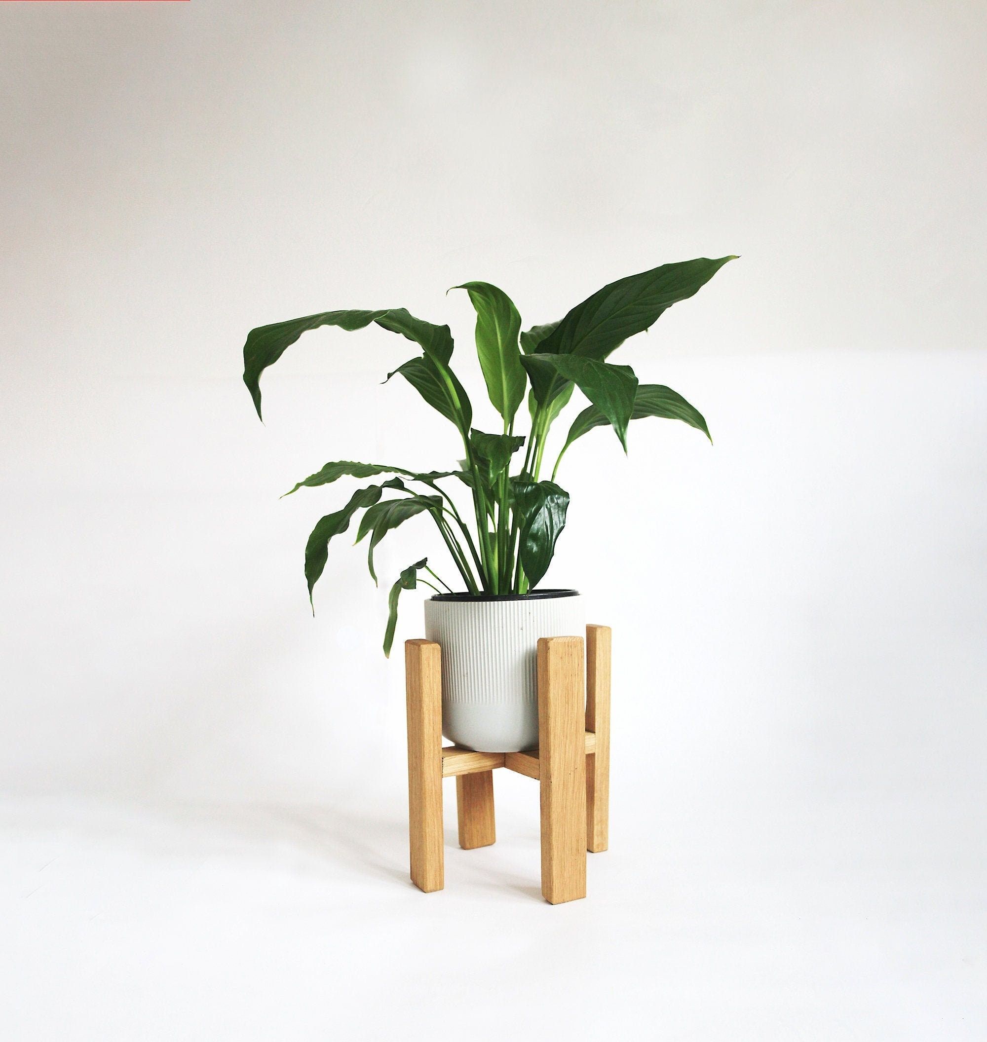 Solid Oak Plant Stand Scandi Wooden Plant Stand Oak – Etsy Regarding Oak Plant Stands (View 14 of 15)