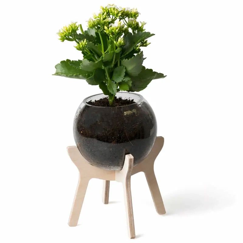 South African Poitjie Pot Plant Stand • That Little Shop With Plant Stands With Flower Bowl (Photo 8 of 15)