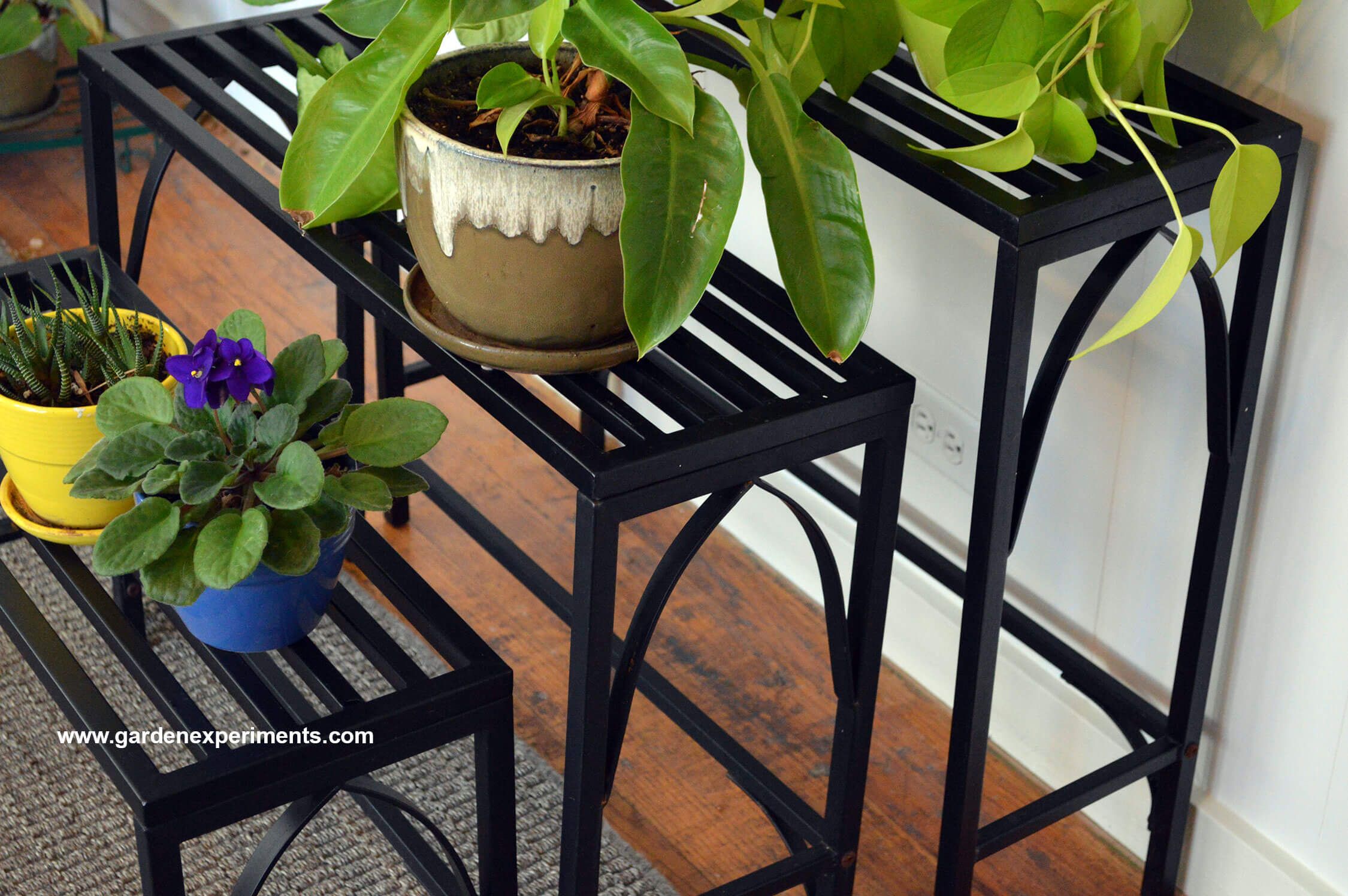 Sturdy Metal Plant Stand Holds 12 Plants With Regard To Outdoor Plant Stands (Photo 15 of 15)