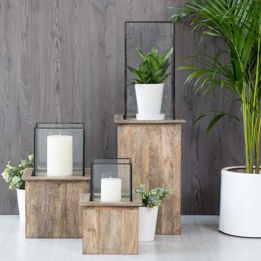 Terrarium/pillar Solid Plant Stands – Sproutwell Decor With Pillar Plant Stands (Photo 10 of 15)