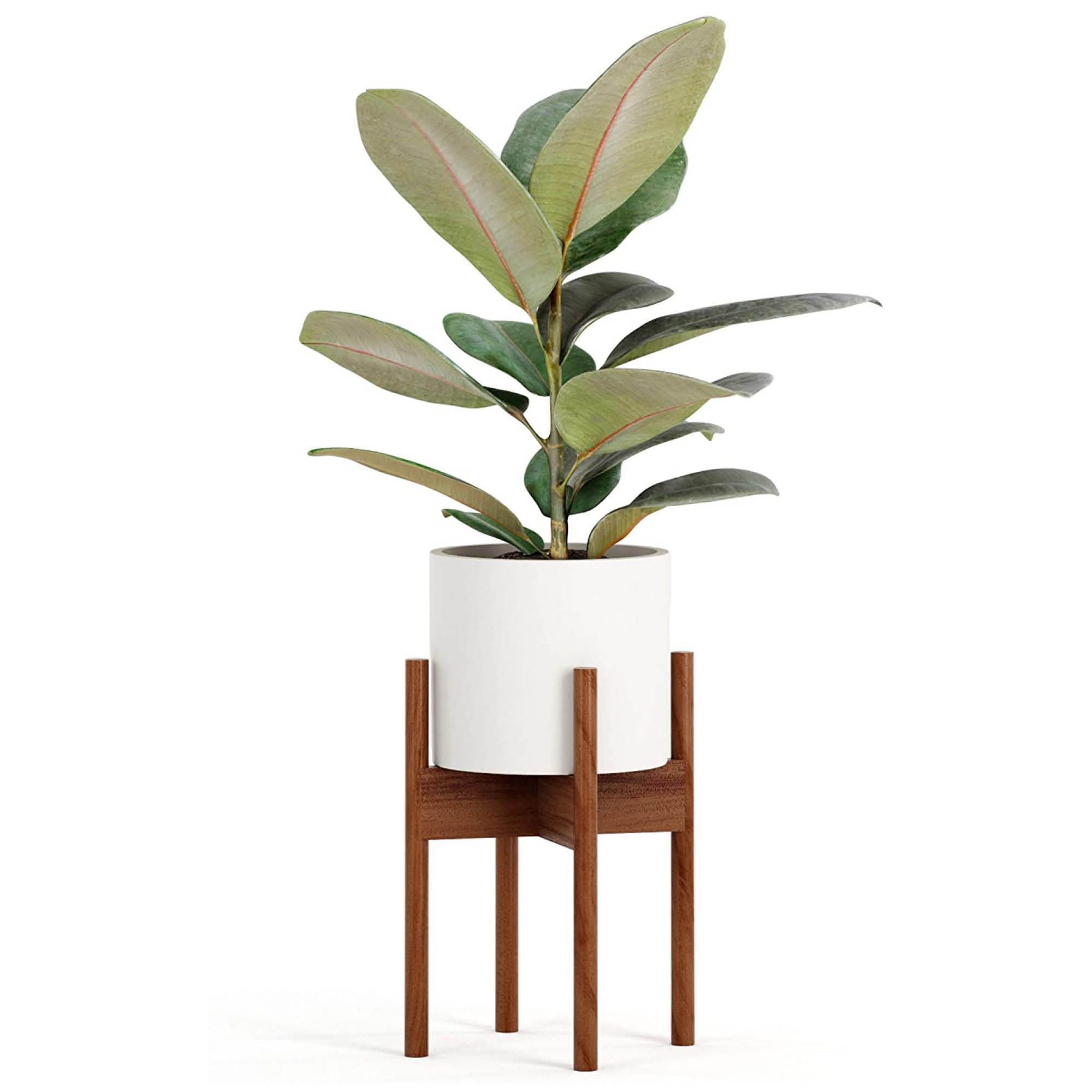 The 12 Best Plant Stands To Upgrade Your Space 2022 In 10 Inch Plant Stands (Photo 9 of 15)