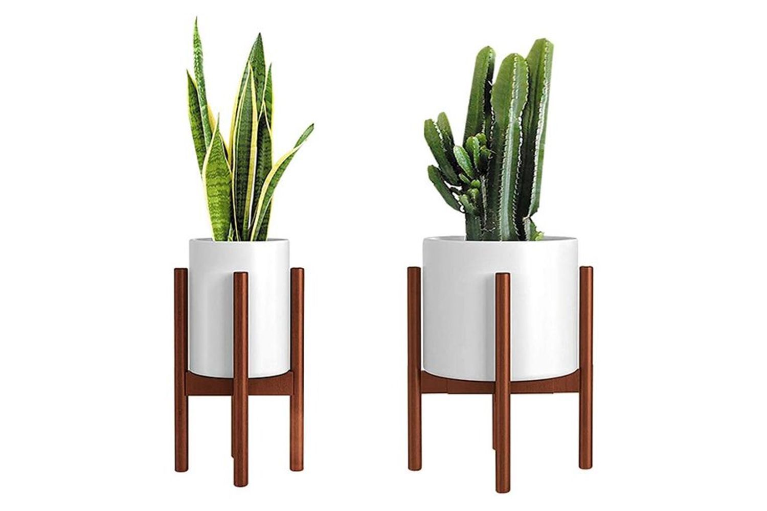 The 13 Best Plant Stands Of 2023 Regarding  (View 7 of 15)