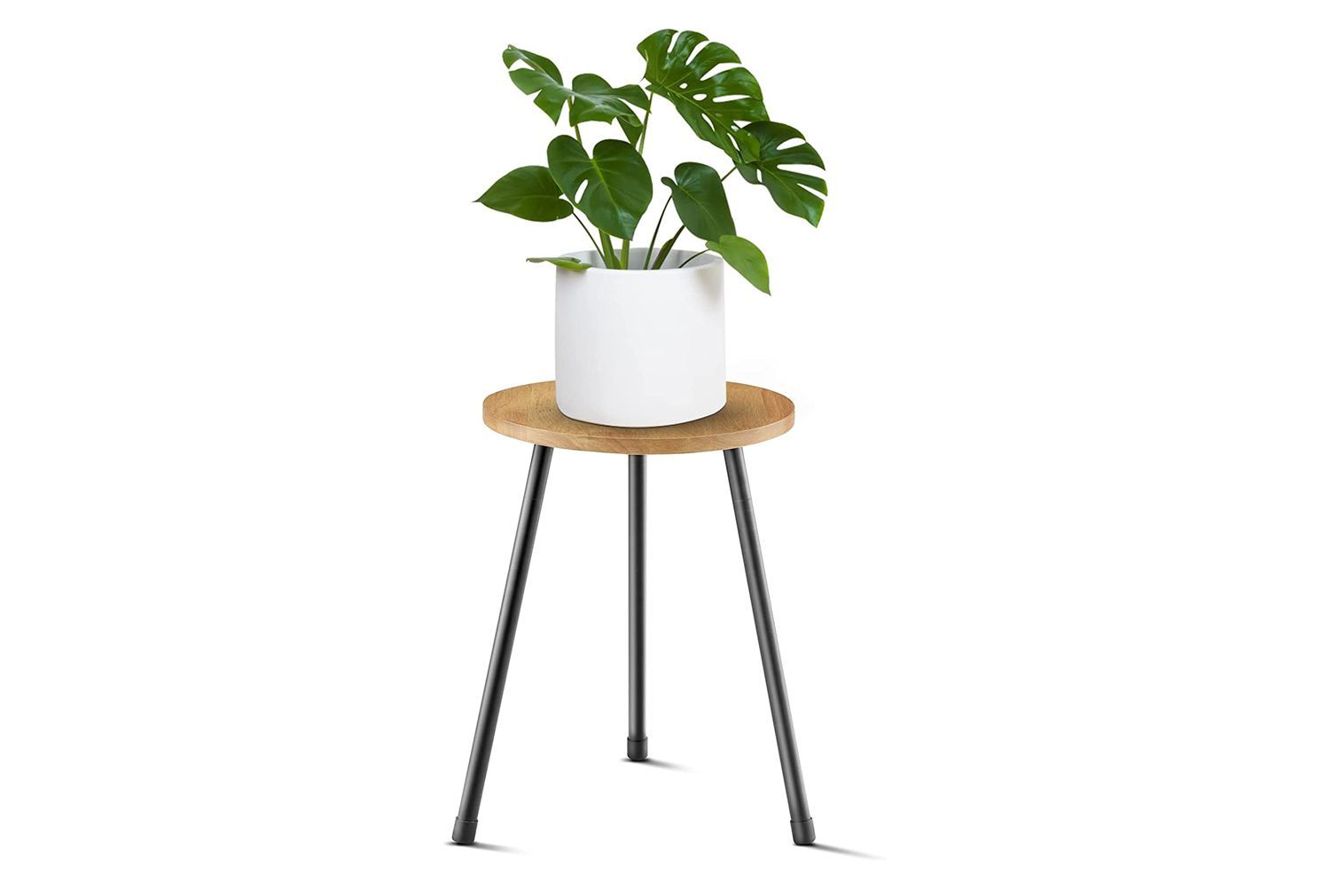 The 13 Best Plant Stands Of 2023 With Regard To 15.5 Inch Plant Stands (Photo 5 of 15)
