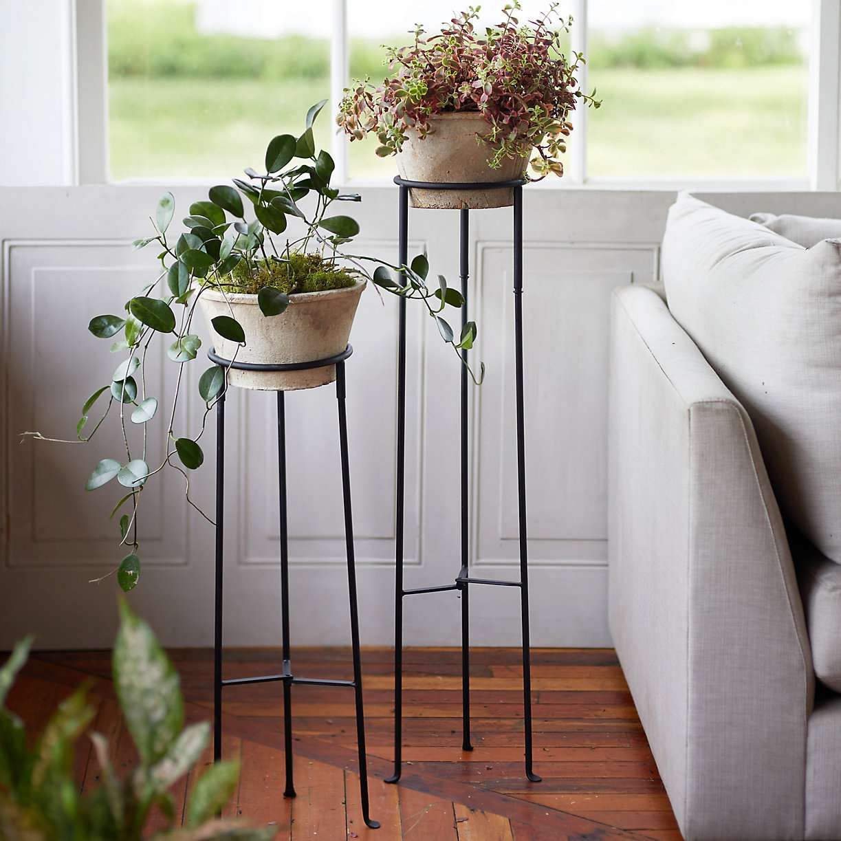 The 8 Best Plant Stands For Every Style For Tall Plant Stands (Photo 7 of 15)
