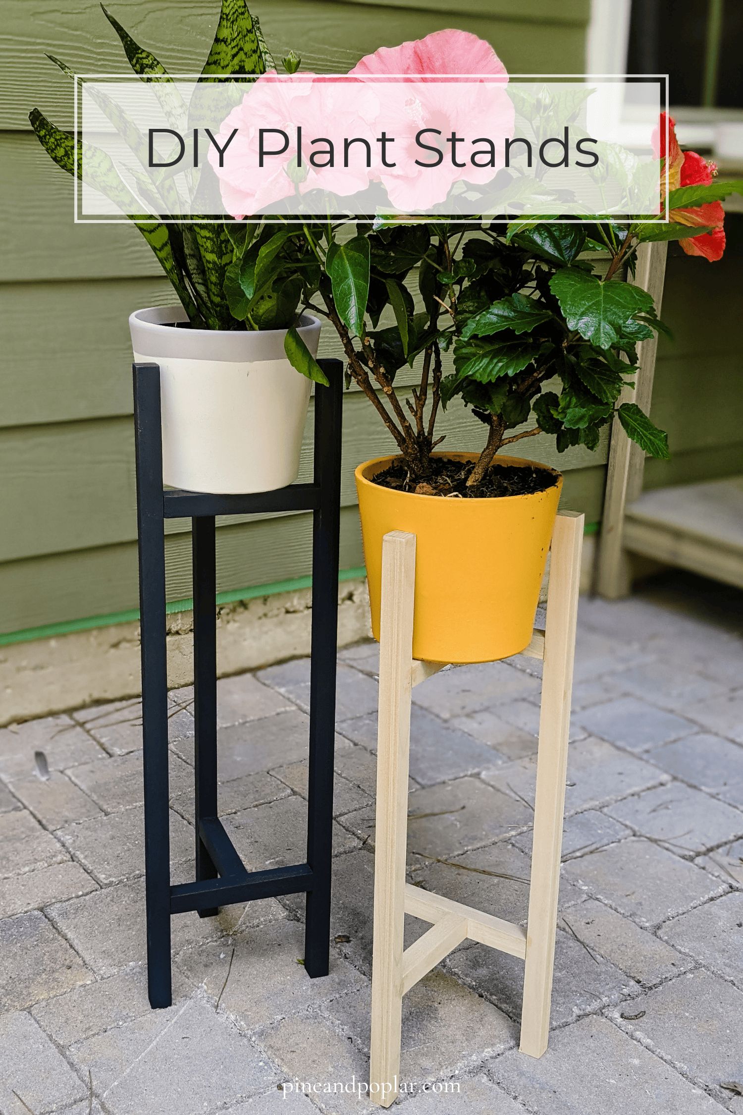 The Easiest Diy Plant Stand Plans Within Medium Plant Stands (Photo 13 of 15)