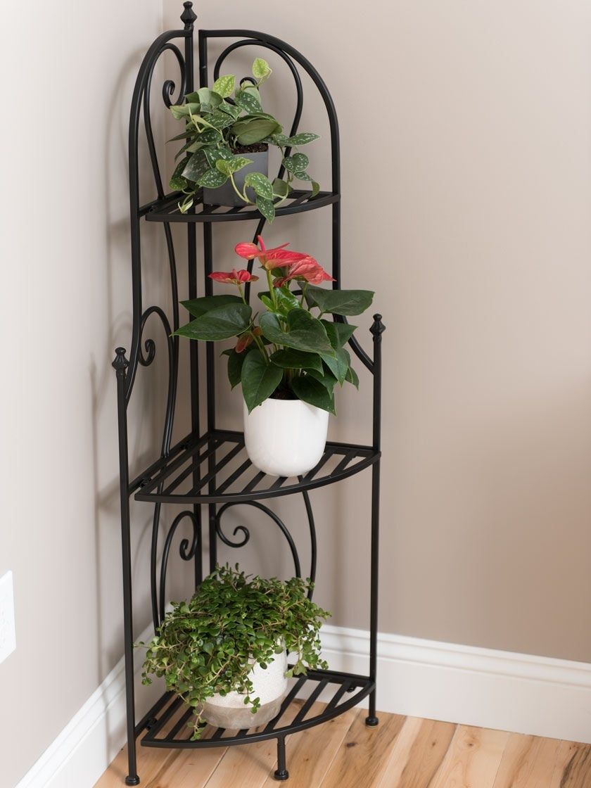 Toulouse Bakers Rack Corner Plant Stand Left | Gardener's Supply Intended For Powdercoat Plant Stands (Photo 11 of 15)