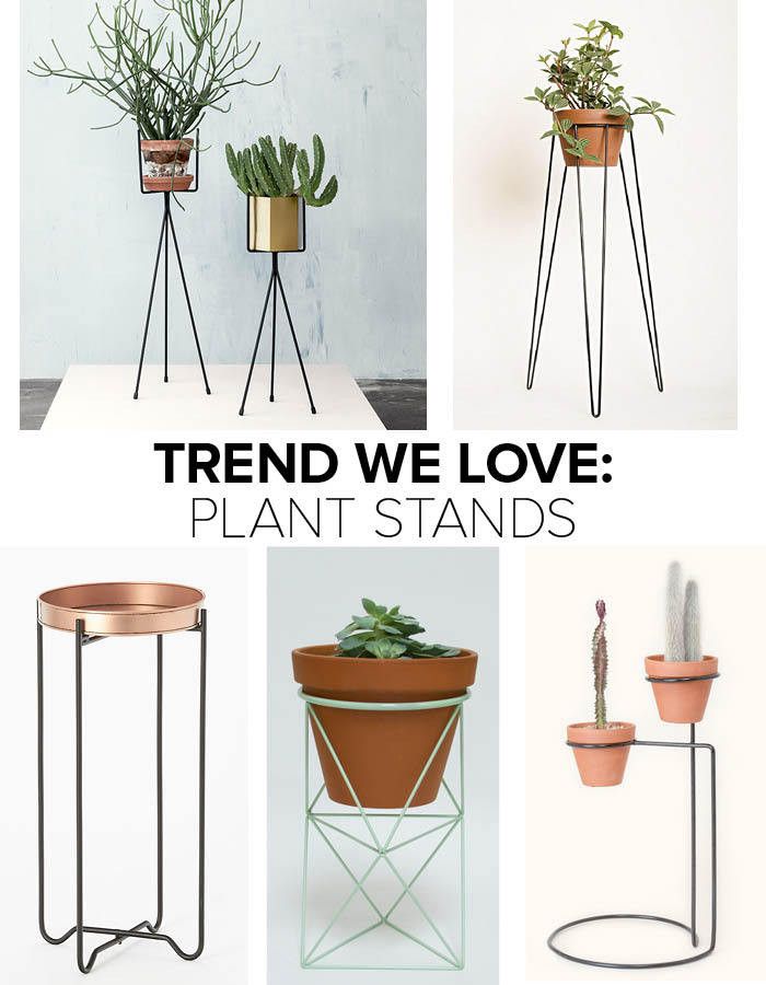 Trend We Love: Plant Stands – Trends We Love – Lonny Inside Ring Plant Stands (Photo 3 of 15)