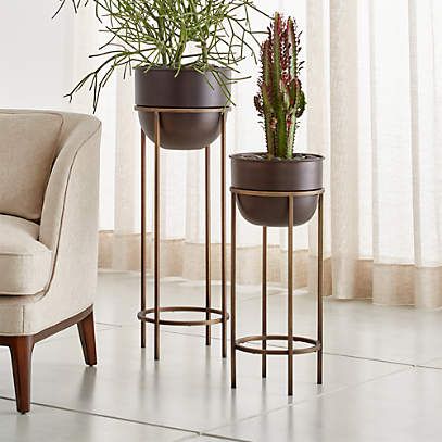Wesley Metal Plant Stands | Crate & Barrel With Bronze Plant Stands (View 2 of 15)