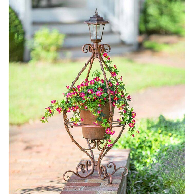 Wind & Weather Antiqued Wrought Iron Plant Stand & Reviews | Wayfair Regarding Ball Plant Stands (View 10 of 15)