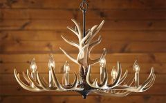 12 Best Collection of Antler Chandeliers and Lighting