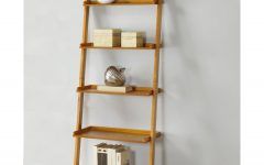 2024 Latest Ladder Bookcase