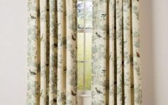 30 Best Aviary Window Curtains