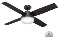 The 15 Best Collection of Black Outdoor Ceiling Fans with Light