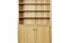 15 The Best Bookcase with Cupboard