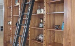 15 Best Rolling Library Ladder