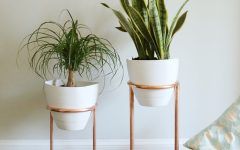 15 The Best Copper Plant Stands