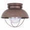 Outdoor Ceiling Light Fixture with Outlet
