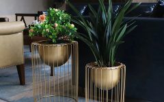 15 Collection of Gold Plant Stands