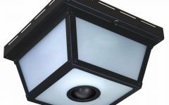 Outdoor Ceiling Lights with Motion Sensor