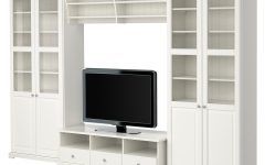 Bookcase with Tv Storage