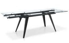 20 Inspirations Modern Glass Top Extension Dining Tables in Matte Black