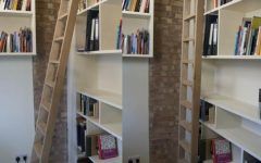 15 Inspirations Sliding Library Ladder
