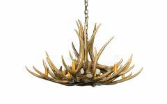 The 12 Best Collection of Antler Chandelier