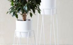 15 The Best White Plant Stands