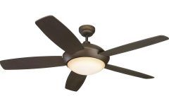 15 Photos Outdoor Ceiling Fans with Lights and Remote
