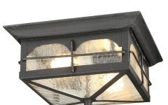 Outdoor Ceiling Light with Outlet