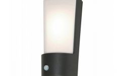 Outdoor Led Wall Lights with Pir