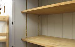 Large Cupboard with Shelves