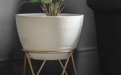 15 Best Collection of Ivory Plant Stands