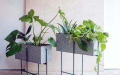 15 Best Collection of Rectangular Plant Stands