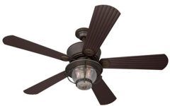 The 15 Best Collection of Outdoor Ceiling Fans with Light at Lowes