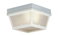 2024 Latest Plastic Outdoor Ceiling Lights