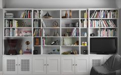 The Best Fitted Bookcase